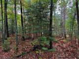 ON Musky Dam Ln - Photo 27