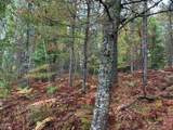ON Musky Dam Ln - Photo 28