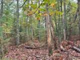 ON Musky Dam Ln - Photo 30