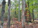 ON Musky Dam Ln - Photo 31