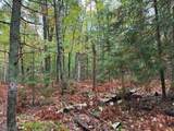 ON Musky Dam Ln - Photo 33
