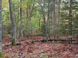 ON Musky Dam Ln - Photo 34