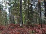 ON Musky Dam Ln - Photo 36