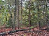 ON Musky Dam Ln - Photo 38