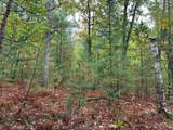 ON Musky Dam Ln - Photo 40