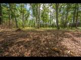 Lot 161 Clearwater Lake Tr - Photo 2