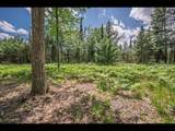 Lot 161 Clearwater Lake Tr - Photo 4