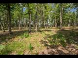 Lot 161 Clearwater Lake Tr - Photo 5