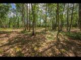 Lot 161 Clearwater Lake Tr - Photo 6