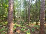 Lot 50 Whitetailed Deer Dr - Photo 10