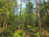 Lot 50 Whitetailed Deer Dr - Photo 11