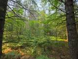 Lot 50 Whitetailed Deer Dr - Photo 12
