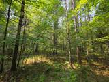 Lot 50 Whitetailed Deer Dr - Photo 13