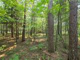 Lot 50 Whitetailed Deer Dr - Photo 14