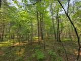 Lot 50 Whitetailed Deer Dr - Photo 15
