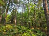 Lot 50 Whitetailed Deer Dr - Photo 16