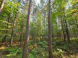 Lot 50 Whitetailed Deer Dr - Photo 17