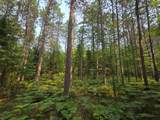 Lot 50 Whitetailed Deer Dr - Photo 18