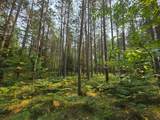 Lot 50 Whitetailed Deer Dr - Photo 20