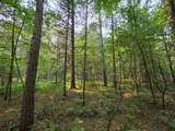 Lot 50 Whitetailed Deer Dr - Photo 21