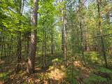 Lot 50 Whitetailed Deer Dr - Photo 22