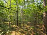 Lot 50 Whitetailed Deer Dr - Photo 23