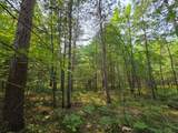 Lot 50 Whitetailed Deer Dr - Photo 24