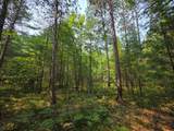 Lot 50 Whitetailed Deer Dr - Photo 26