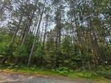 Lot 50 Whitetailed Deer Dr - Photo 27