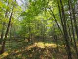 Lot 50 Whitetailed Deer Dr - Photo 4