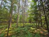Lot 50 Whitetailed Deer Dr - Photo 5