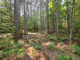 Lot 50 Whitetailed Deer Dr - Photo 6