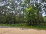 Lot 50 Whitetailed Deer Dr - Photo 9