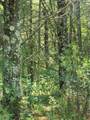 off Blue Lake Rd - Photo 3