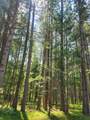 off Blue Lake Rd - Photo 4