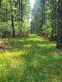 off Blue Lake Rd - Photo 5