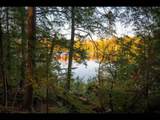 Lot 162 Clearwater Lake Tr - Photo 1