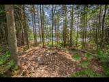 Lot 162 Clearwater Lake Tr - Photo 4