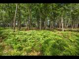 Lot 162 Clearwater Lake Tr - Photo 5