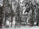 8380 Harris Lake Rd - Photo 86