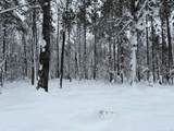 8380 Harris Lake Rd - Photo 88