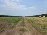9864 Buckhorn Rd - Photo 10