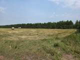 9864 Buckhorn Rd - Photo 11
