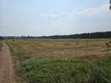 9864 Buckhorn Rd - Photo 12