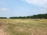 9864 Buckhorn Rd - Photo 3