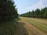 9864 Buckhorn Rd - Photo 6