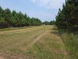 9864 Buckhorn Rd - Photo 8