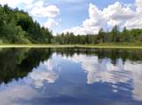 7519 North Crab Lake Rd - Photo 13