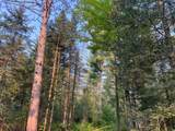 N10438 Jones Rd - Photo 35