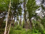 N10438 Jones Rd - Photo 36